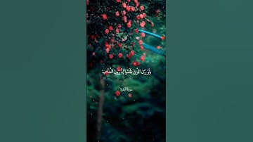 وَمِنَ النَّاسِ مَن يَتَّخِذُ مِن دُونِ اللَّهِ أَندَادًا |#سورة_البقرة |#رعد_الكردي