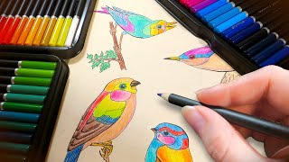 6 HOUR Colored Pencil ASMR Drawing, Coloring, Organizing, Sharpening | No Talking