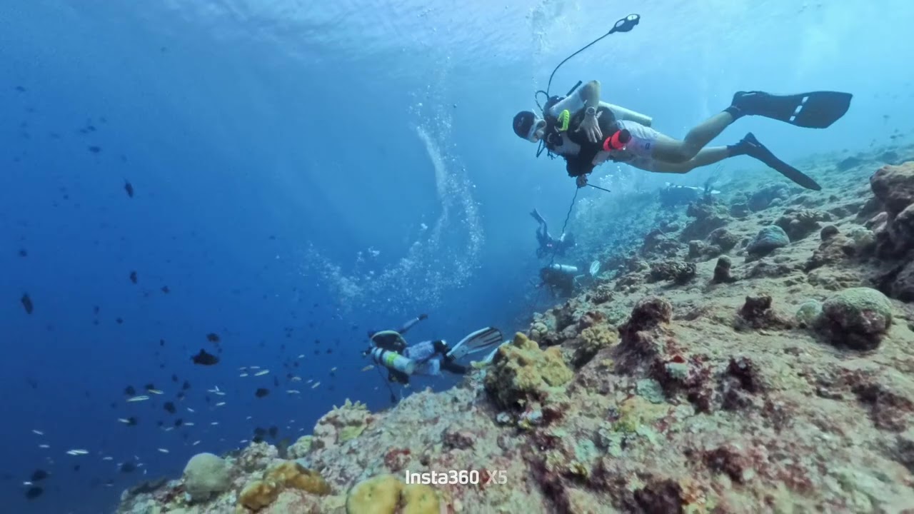 Palau 0214 新斷層 流勾