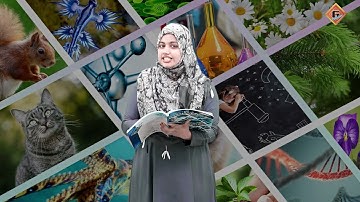 Gohar Science 4|Unit 4|Lec 7|Assessment