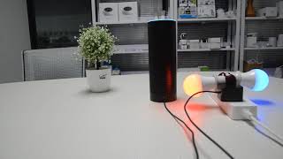 How to control 2 smart bulbs via Amazon Alexa?