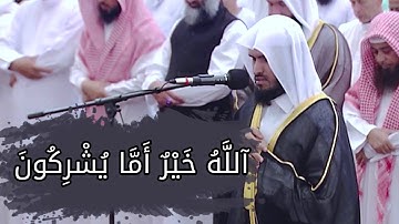 تلاوة من سورة النمل | الشيخ عبدالله أبوشريده