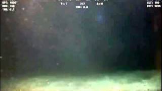 Violent Seepage From Seafloor -- Part Ii Aug. 17