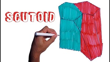 How to Draw a Scutoid Shape