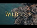 The wild tour  lay down  wildation live session 6