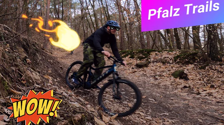 Trail action Bismarckturm - Pfalz / Ebike / MTB / ...