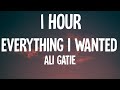 Ali Gatie - Everything I Wanted (1 HOUR/Lyrics)