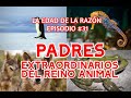 PADRES DEL REINO ANIMAL