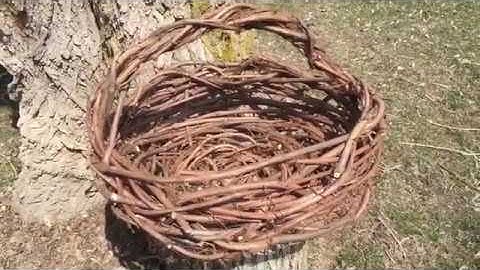 Making A Grapevine Basket.
