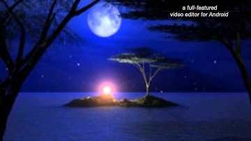 من سورة الزمر - يوسف الأنصاري