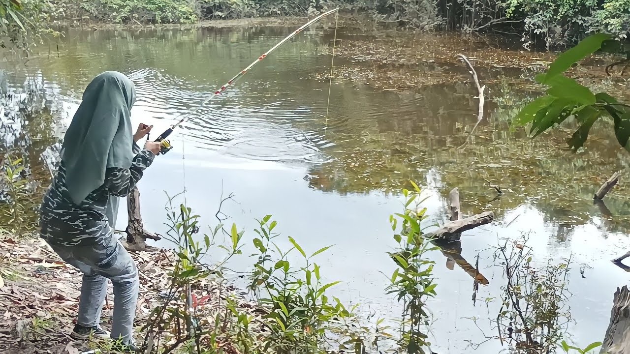GADIS KOTA BERBURU MONSTER TOMAN DI PEDALAMAN HUTAN