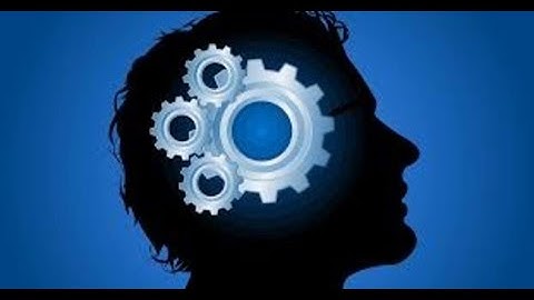 DMIT   Dermatoglyphics Multiple Intelligence Test