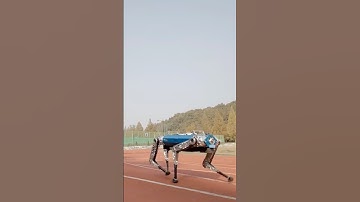 FASTEST 100 m by a four-legged robot 🦿🤖 19.87 seconds
