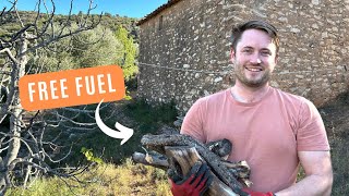 FINALLY burning our own FIRE WOOD | Sustainable Energy | Off grid Abandoned Land