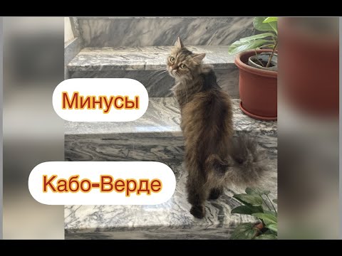 Минусы жизни в Кабо-Верде: интернет | преступность| собаки |