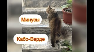 Минусы жизни в Кабо-Верде: интернет | преступность| собаки |