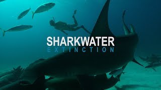 Sharkwater: Extinction – Video Teaser