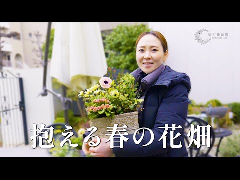 オトナカワイイ春の寄せ植え 大人可愛い！」春の寄せ植え※寄せ植えセット 鉢花 寄せ植え