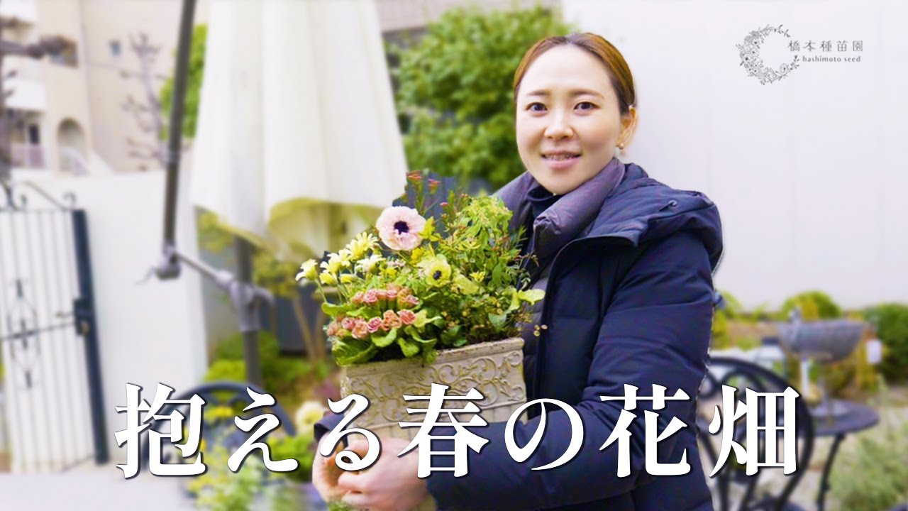 春のお花で作る】“大人エレガント”な寄せ植え - YouTube