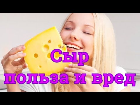 Можно есть сыр при похудении. В чем польза сыра. Польза и вред от сыра