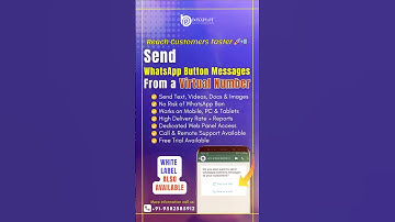 Send Bulk WhatsApp Button Message with Virtual Number | WhatsApp Web Panel | WhatsApp API Tutorial