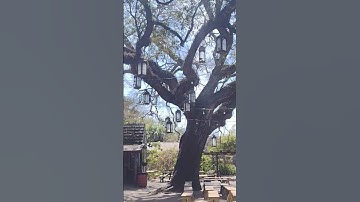 Thumbnail of Colonial Oak Music Park. #travel