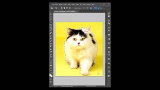 Adobe Photoshop 2026 Tips -  se selection mask tool in Photoshop