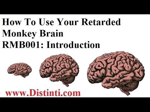 RMB001: How To Use Your Retarded Monkey Brain