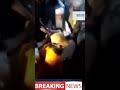 انا للہ وانا الیہ راجعون 😢روحانیت کا بڑا نقصان۔اللہ تعالیٰ درجات بلند فرمائے۔ آمین 🤲