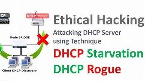 How to Hack DHCP by Starvation Attack Using DHCPig DoS in Kali Linux l #ethicalhacking #kali #wifi