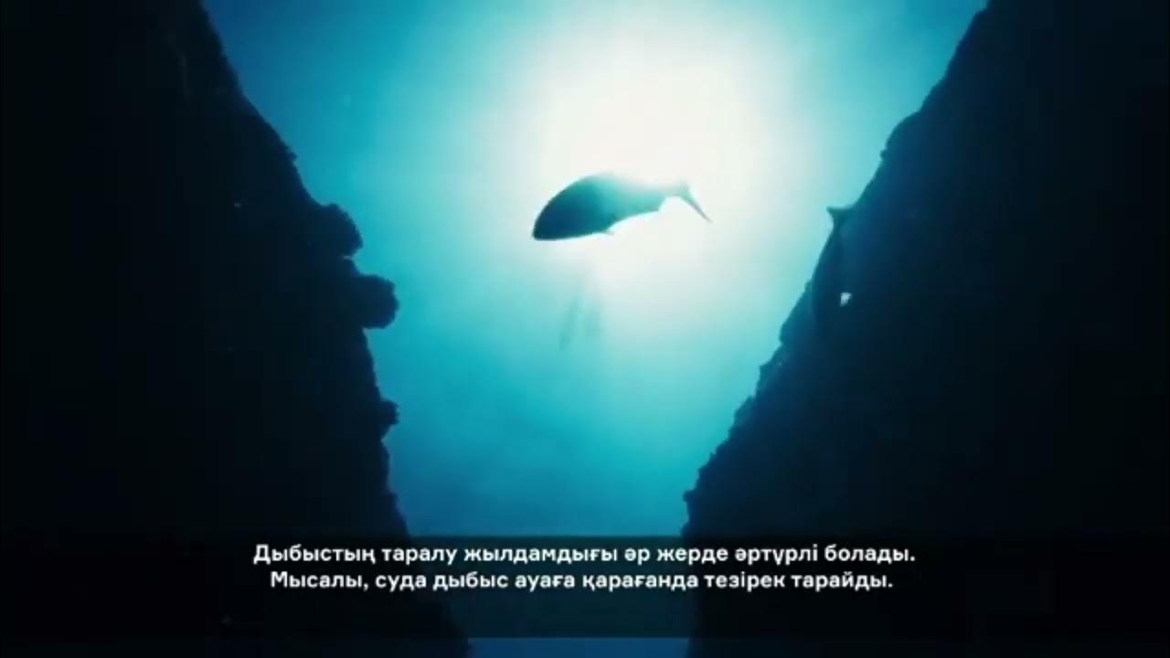 Блять любовь