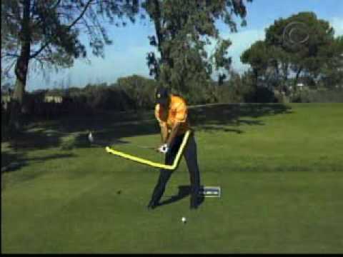 swing vision tiger woods