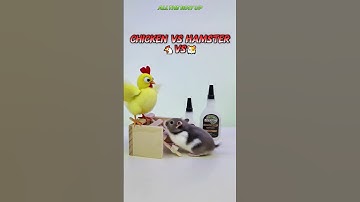 Who Deserves the Staircase? Cast Your Vote!👇 #camaleao #diy #superglue #strongbond #funny #adhesive