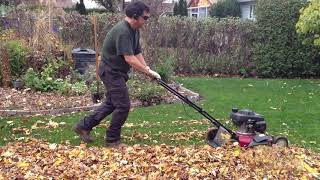 Redneck Leaf Control 1