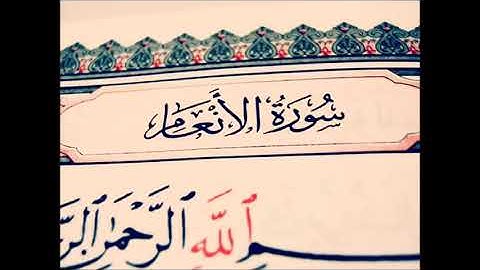 الجزء السابع سورة المائدة والانعام بصوت القارئ ماهر علوان