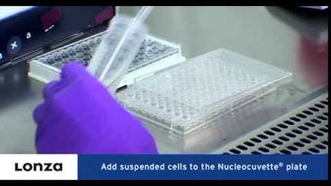 Lonza 96-well Shuttle