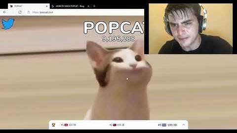 Speed Run Pop cat.exe