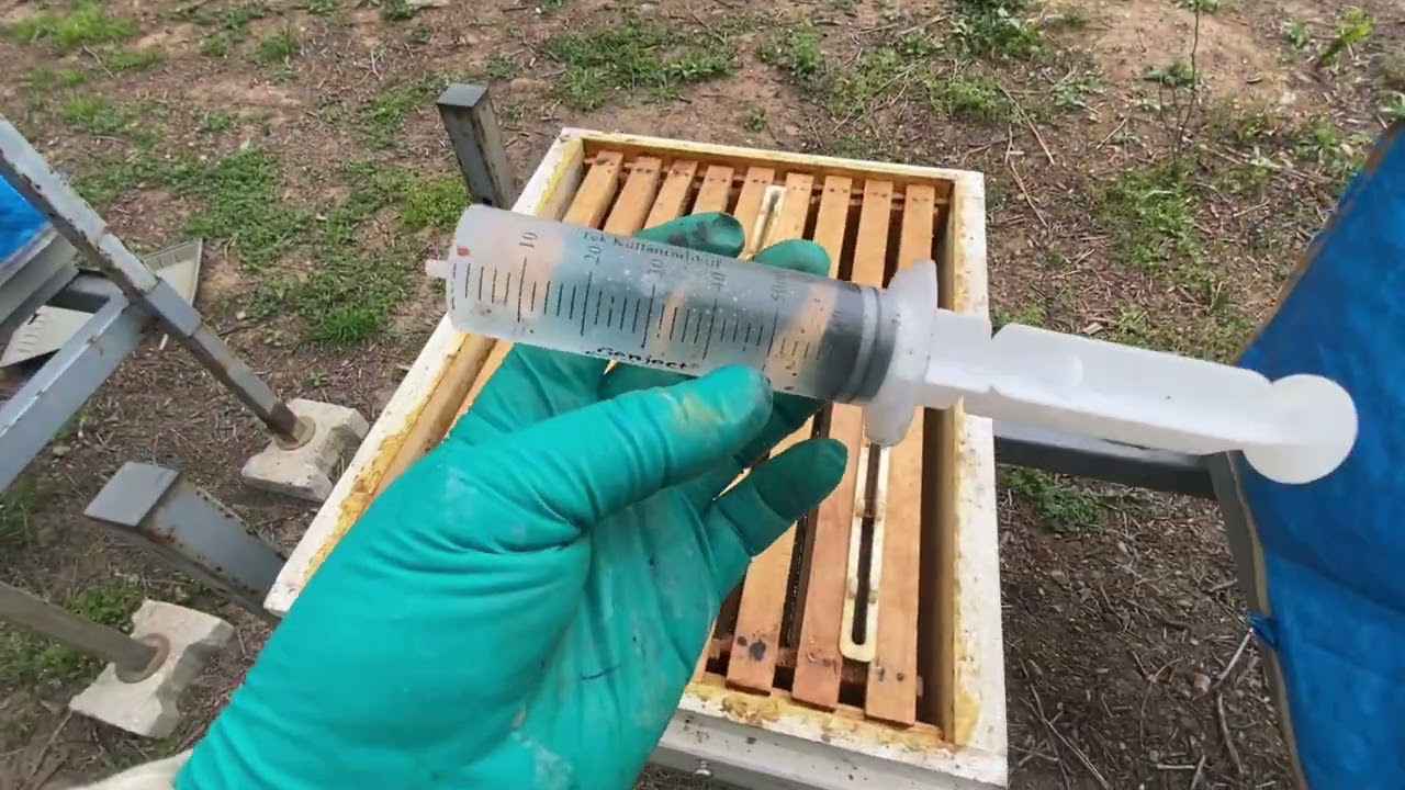 Arılara formik asit nasıl yapılır