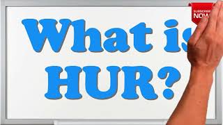 What is the full form of HUR?