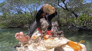 Mga Lumang Taklobo ang Ginamit sa Bakawan Grabi ang Daming Isda!