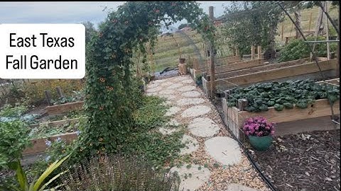 Improving the Garden: Chicken Chunnel and Fall Crops