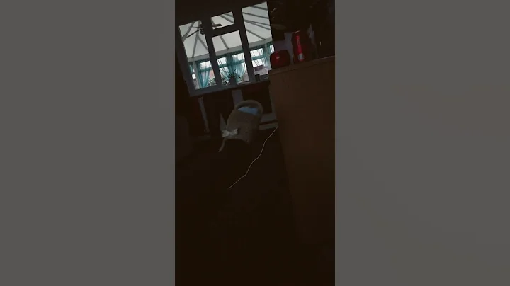 Dancing foot