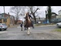 The Cowboys Riding Philadelphia's Streets