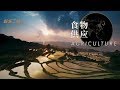 【ENG】《超级工程Ⅲ》第1集 用全球7%的耕地养活22%的人口 庞大的食物供应链背后到底隐藏着怎样的秘密？ China's Mega ProjectsⅢ EP01【CCTV纪录】