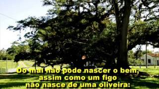 SWEET MEMORIES - INSTRUMENTAL (Ray Charles) com fotos mensagens para refletir screenshot 3