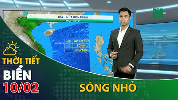 Thời tiết biển ngày 10/02/2023:Khu vực Bắc giữa Biển Đông, sóng nhỏ, biển êm | VTC14