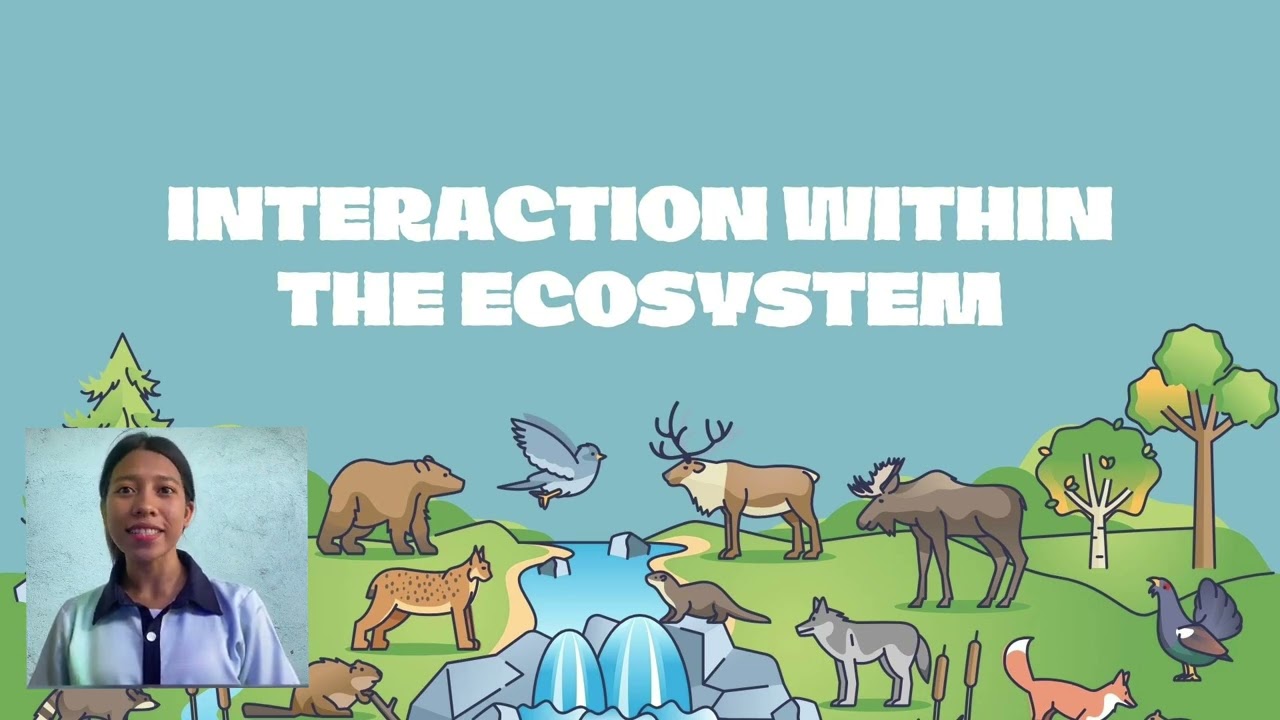 INTERACTION WITHIN THE ECOSYSTEM