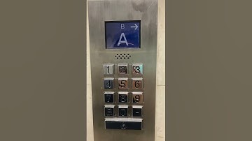 #shorts OTIS COMPASS MESSING AROUND PART 1 OF 2