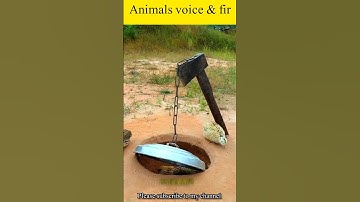 Quick & Unique DIY Quail Trap Using Cardboard Box & Axe | Easy Bird Trap Idea #shorts #birds