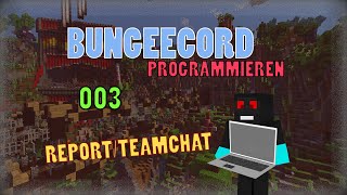 Report/TeamChat - BungeeCord || RicoswLive